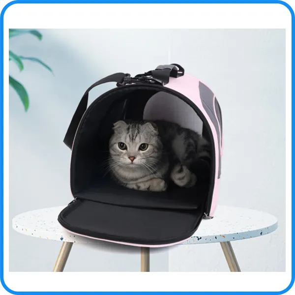 Pet Carrier 2