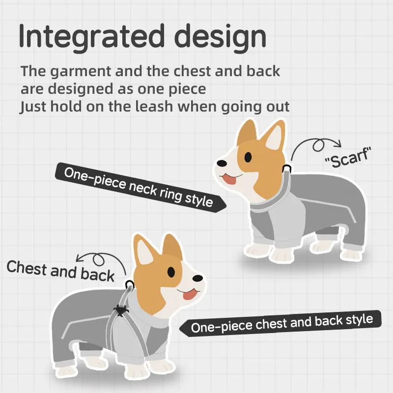 Dog Clothing Detail 2