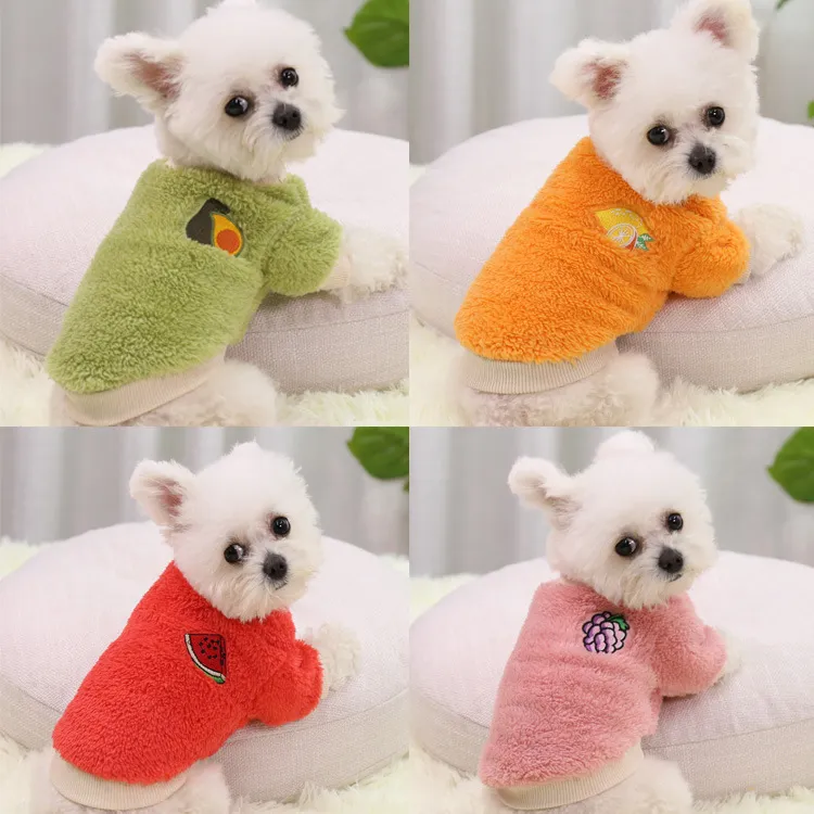 Dog Apparel