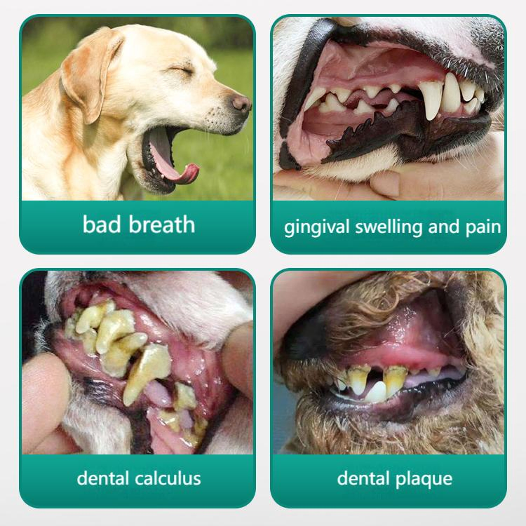 Karinsa Edible Pet Toothpaste - Oral Health for Australia