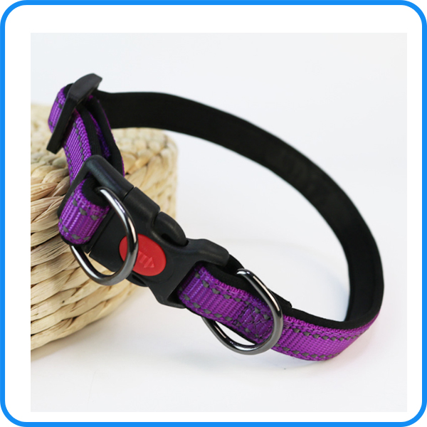 Pet Product Supply Nylon Pet Dog Leash with Collar