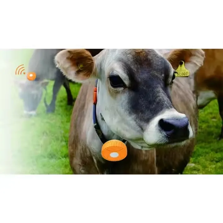 Animal GPS Tracker 1