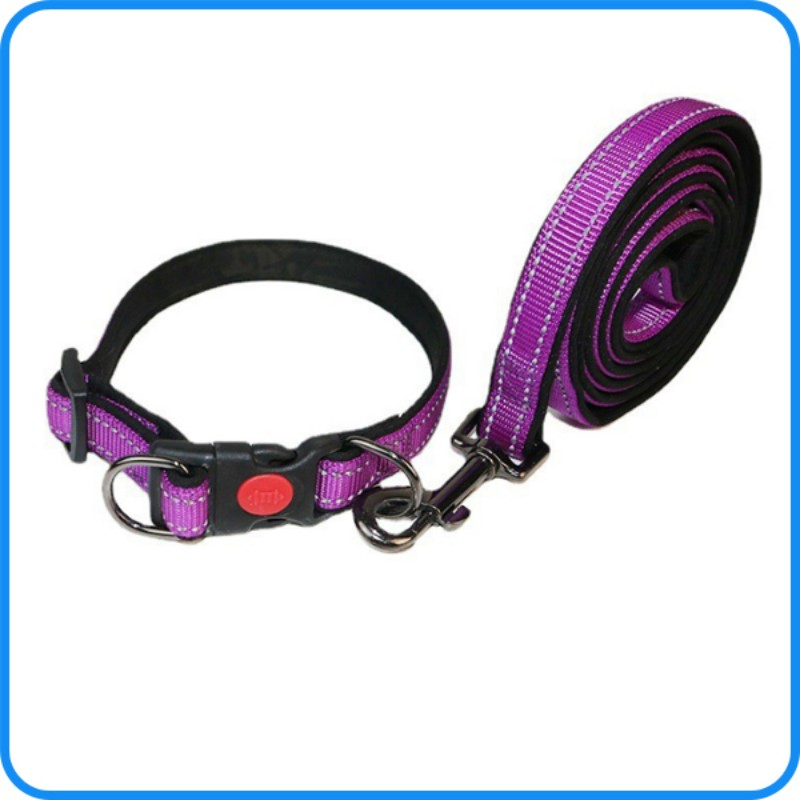 Pet Product Supply Nylon Pet Dog Leash with Collar