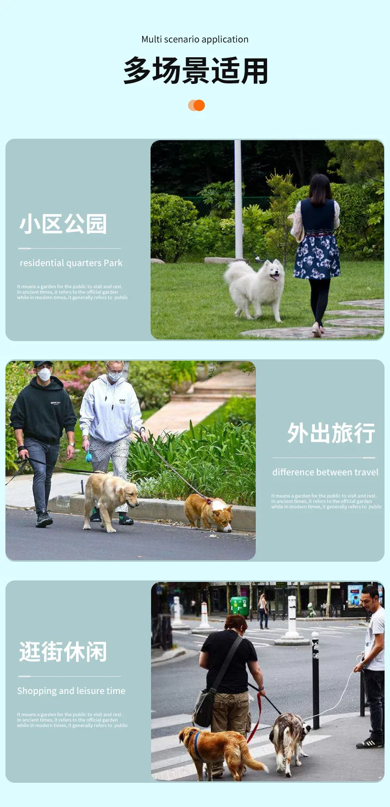 Outdoor Pet Cleaning