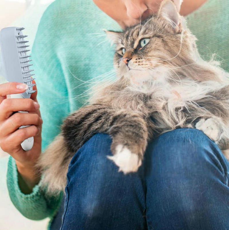 Pet Deodorization Comb Dog Hair Remover Pet Sterilization Massage Brush Grooming Tool Esg12758