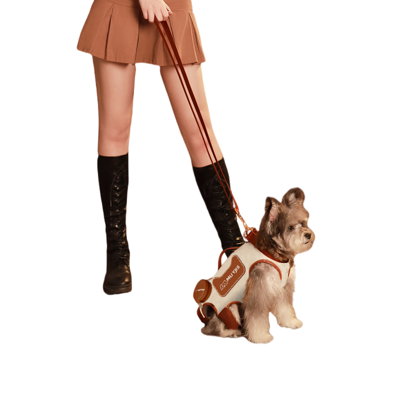 Fashionable Pet Travel Carrier Customizable Size and Pattern Available