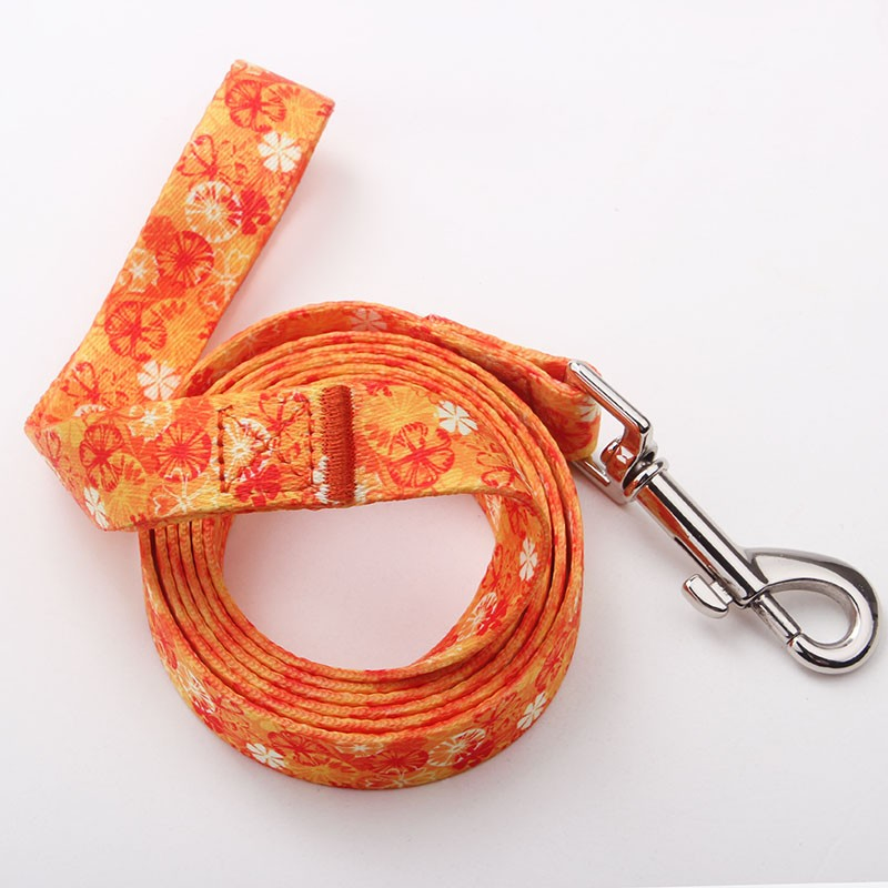 Adjustable Pet Collar Leash, Dog Leash, Dog Collar, Dog Rope, Heat Transfer Dog Rope, Dog Training Collar Leash, Promotional Dog Leash