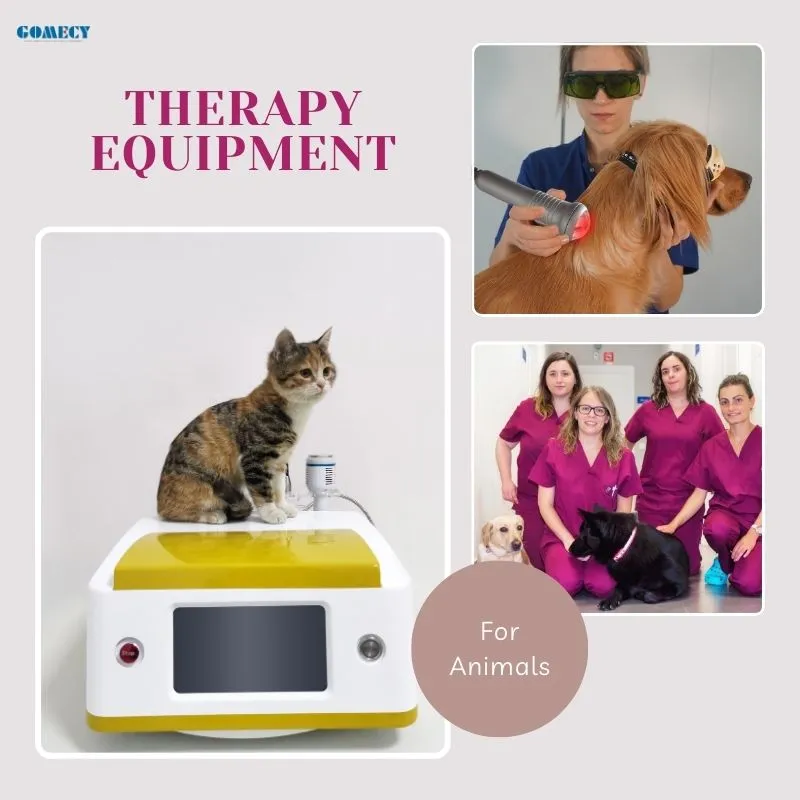 Animal Therapy Device Feature 1