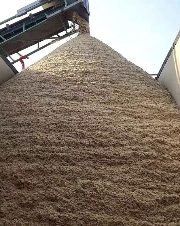 Premium Biodegradable Pet Wood Shavings/Pet Bedding in ISO9001/HACCP Approved Competitive Cost Export to USA, Canada, Japan, Korea, Austrilia for Pet Beddings