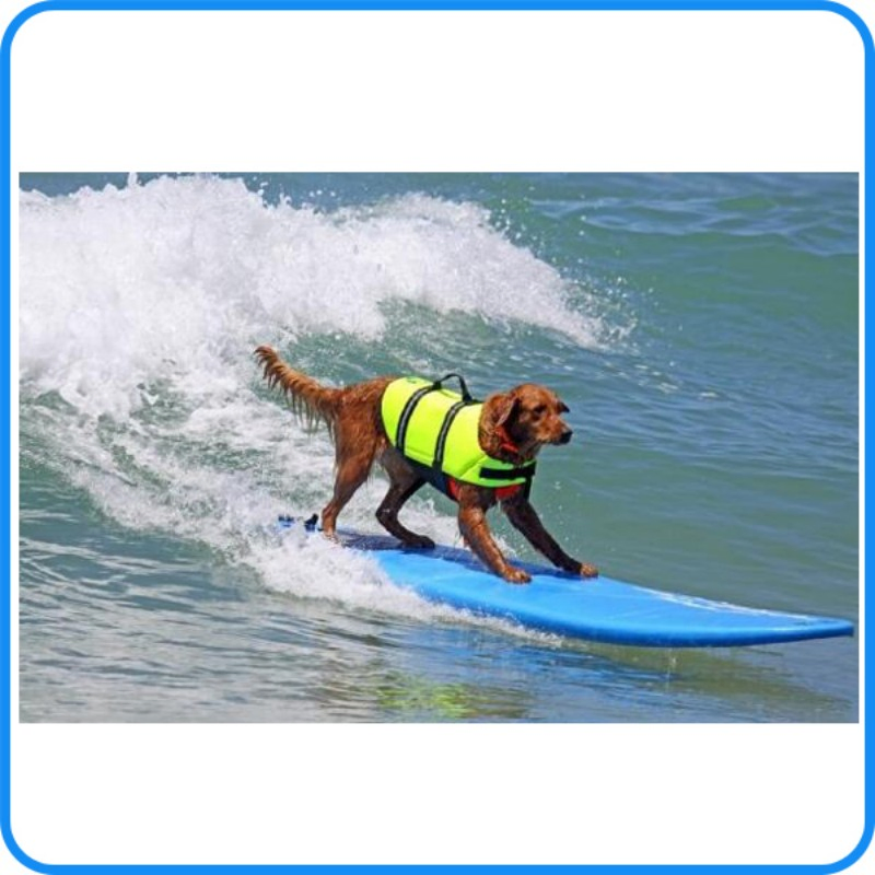 Factory High Quality Pet Safety Dog Life Vest Clothes
