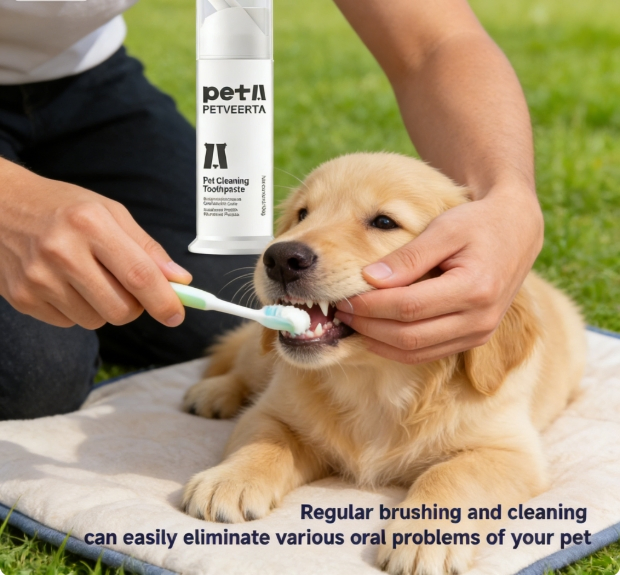 Long-Lasting Pet Dental Care Solution for Extended Freshness