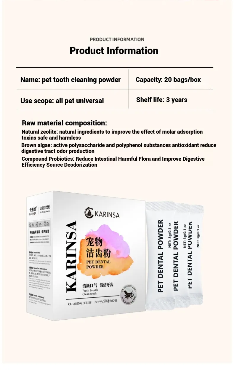 Dental Care Detail 14