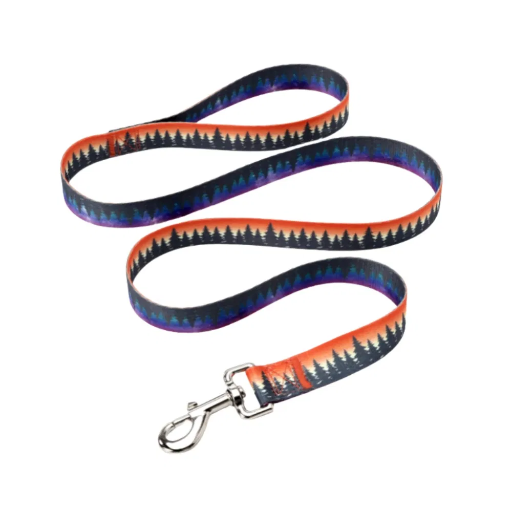 Wholesale Dog Leash with Pattern Printing Zinc Alloy Hook Pet Supplies Manufacturer Custom Collar Style for Pet Leash