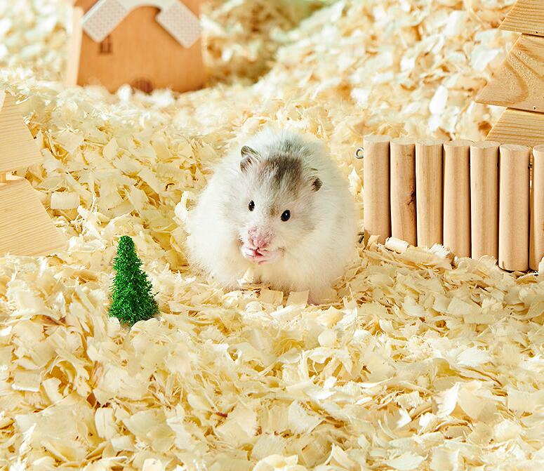Premium Natural Pet Wood Chips/Pet Bedding in ISO9001/HACCP Approved Competitive Cost Export to USA, Canada, Japan, Korea, Austrilia for Pet Beddings