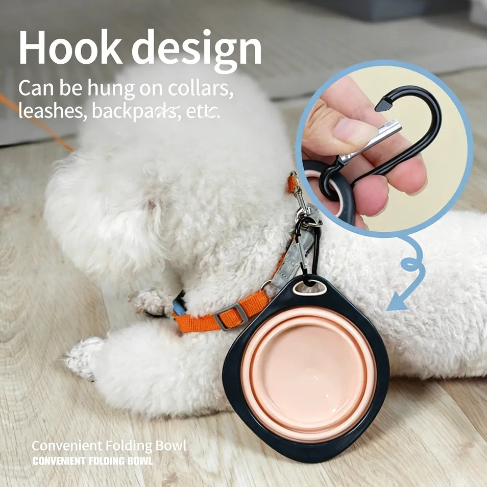 Carabiner Attachment