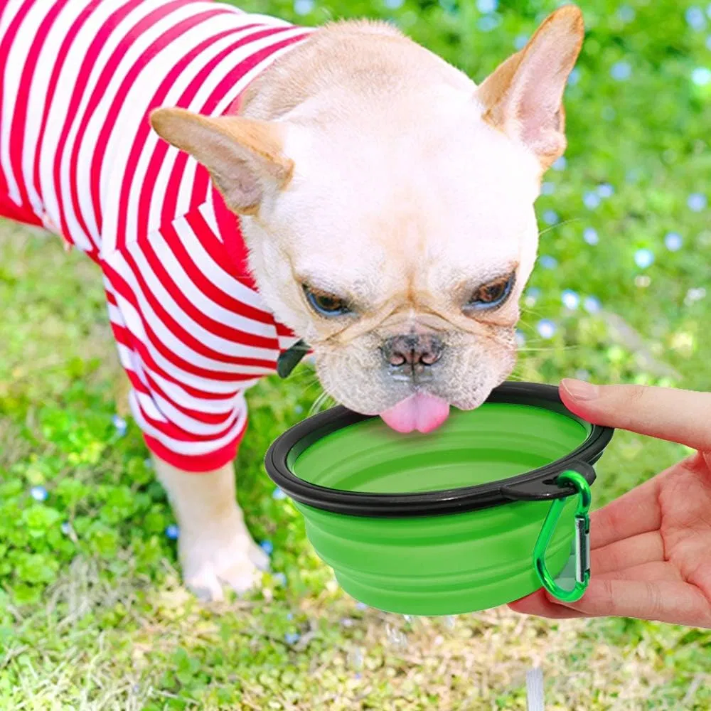 Collapsible Dog Bowl 2