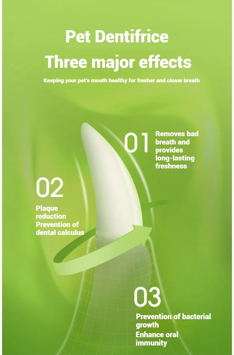 Dental Care Detail 6