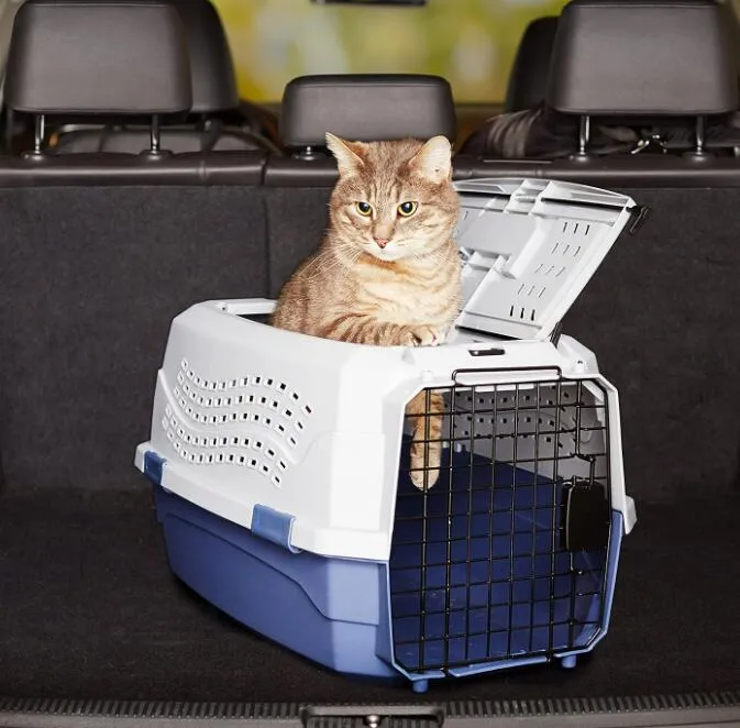 Pet Carrier View 3