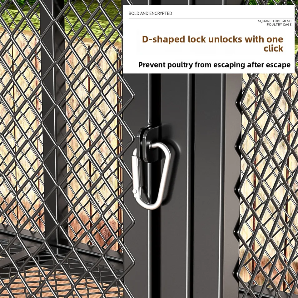 Chicken Coop Design Detail 2