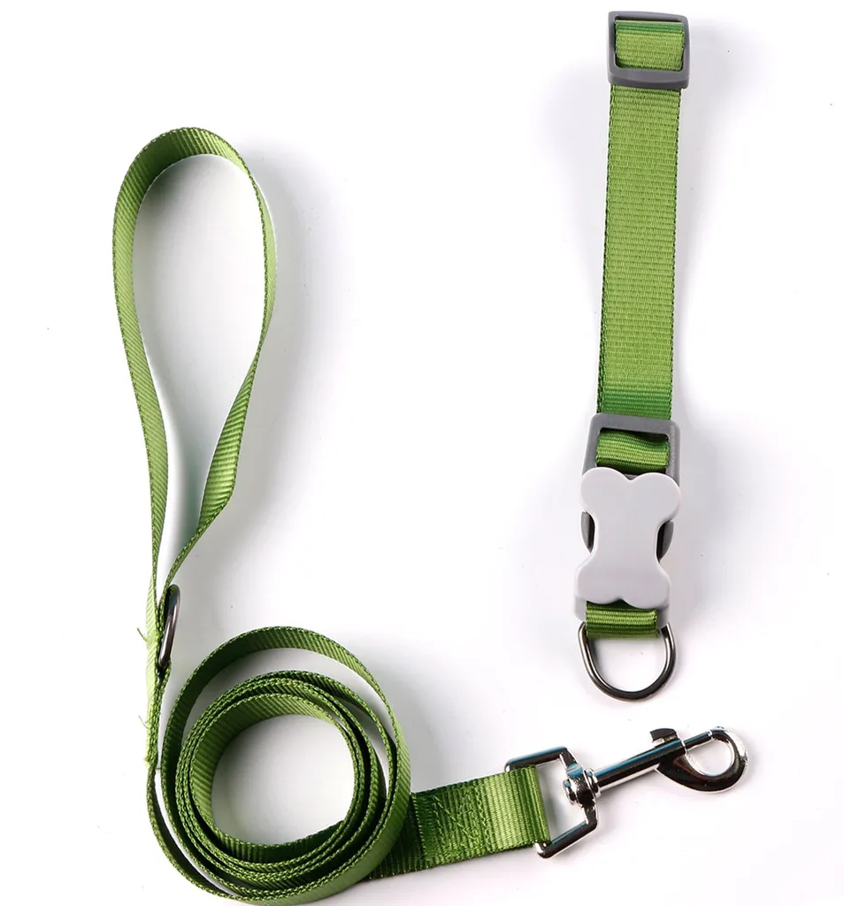 Pet Leash Detail