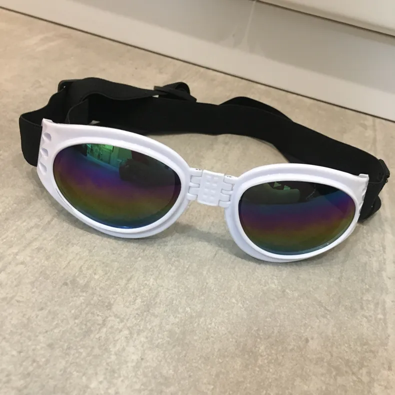 Pet Sunglasses View 5