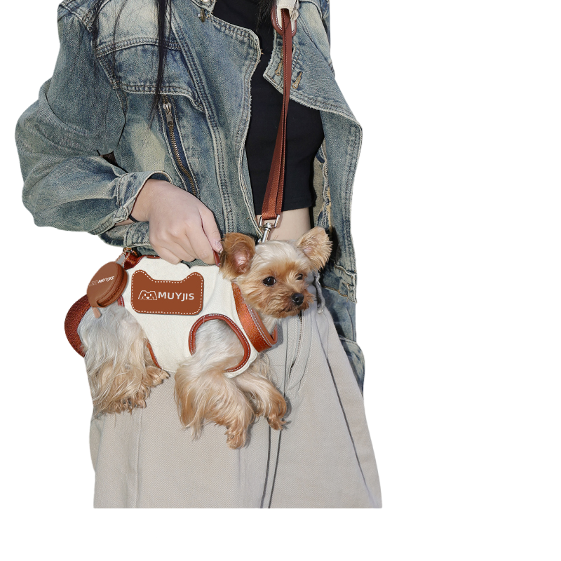Fashionable Pet Travel Carrier Customizable Size and Pattern Available