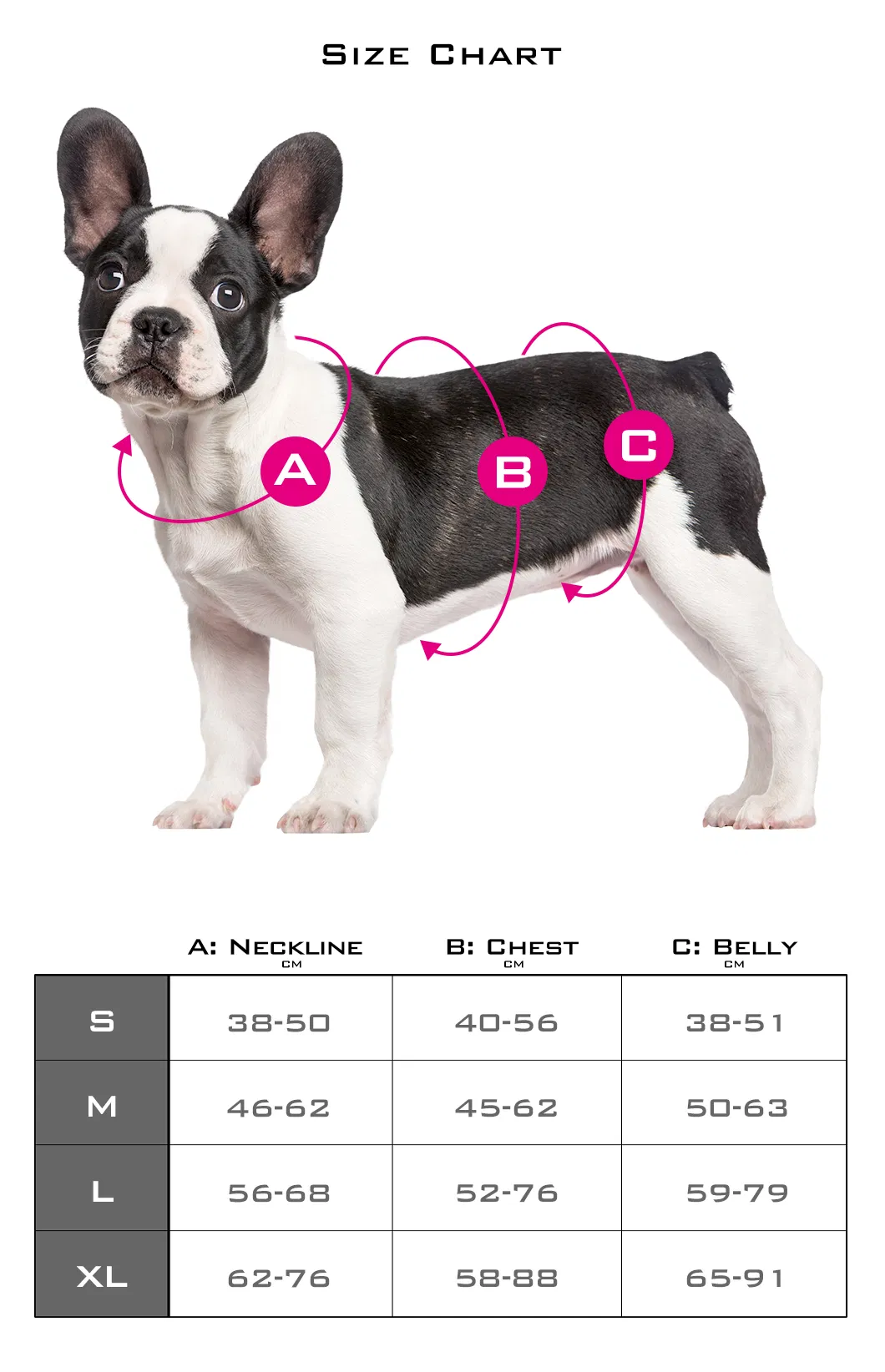 Dog Harness Size Chart and Usage