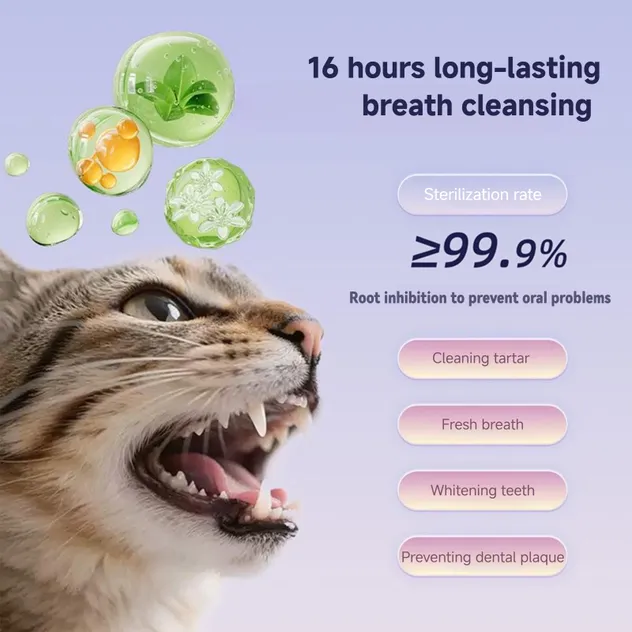 Pet Dental Cleaning Mousse 3