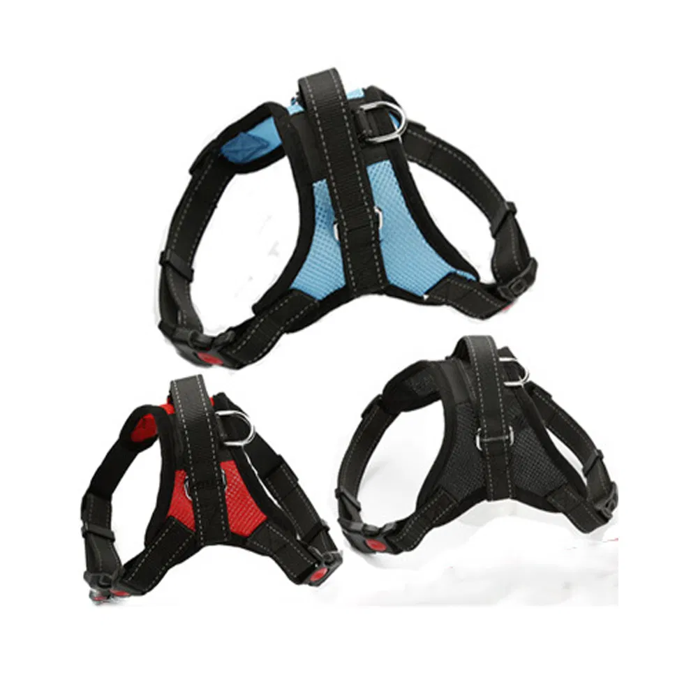 Dog Leash Product View 2