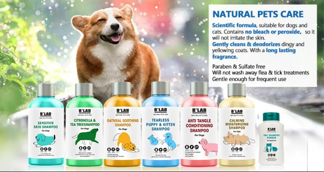Pet Product Display