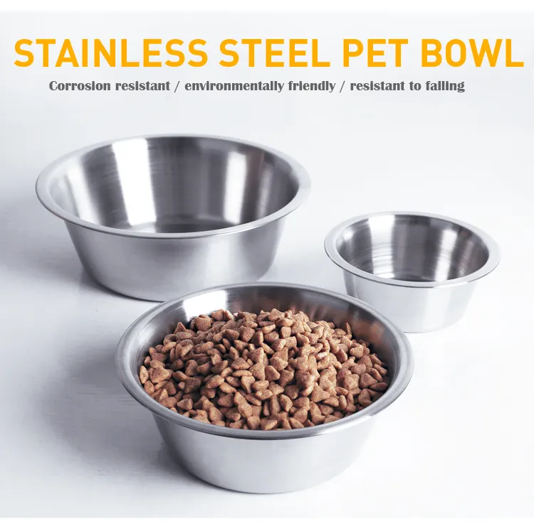 Pet Feeding Plate
