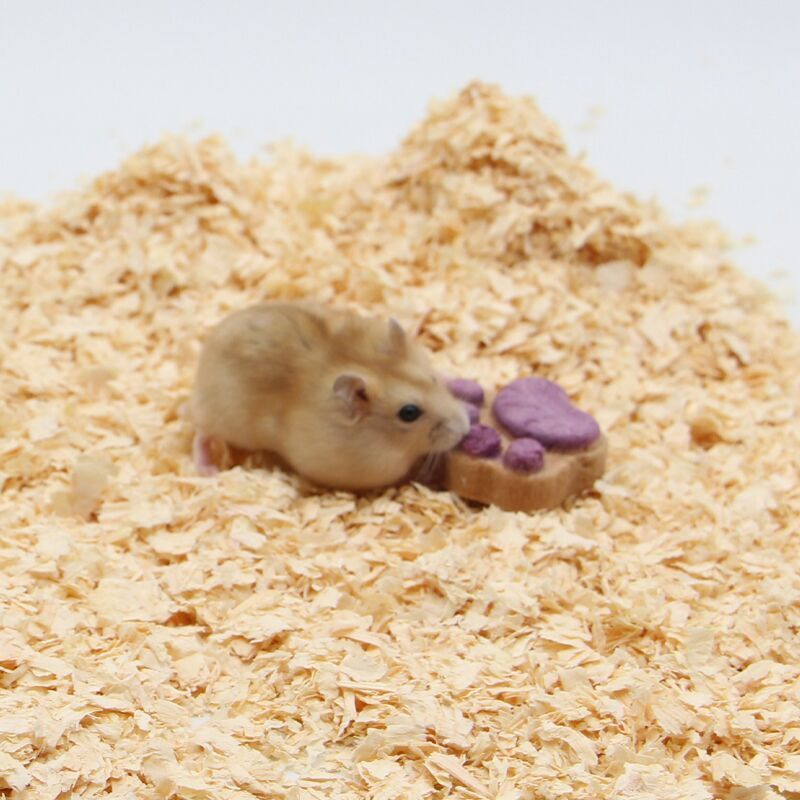 China Best Sustainable Pine Wood Shaving Flakes Beddings for Small Pets for Cats