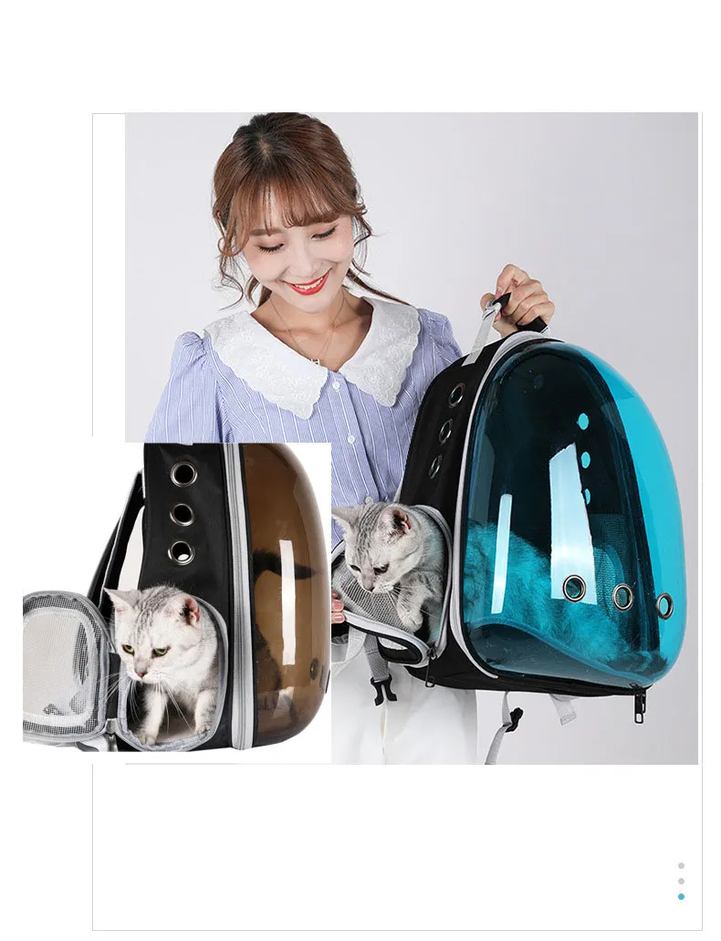 Cat Backpack 3