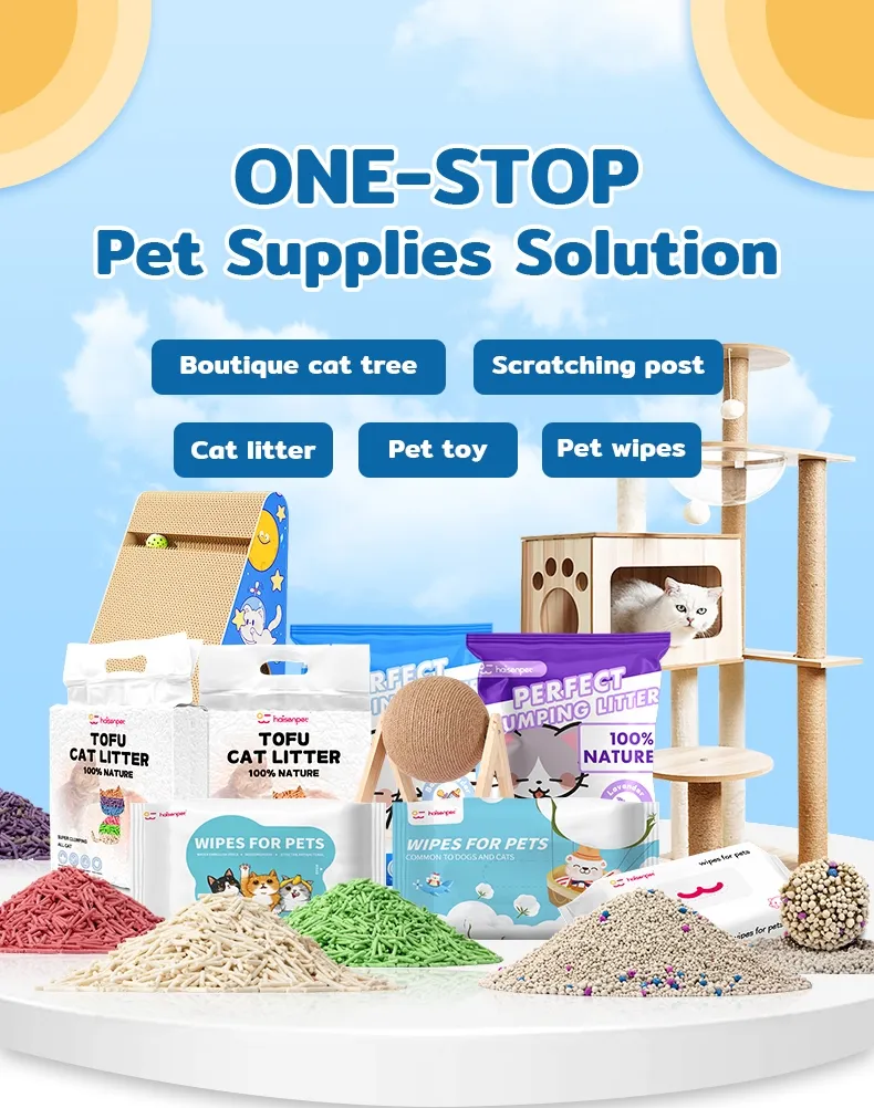 Airline Approved Pet Carrier