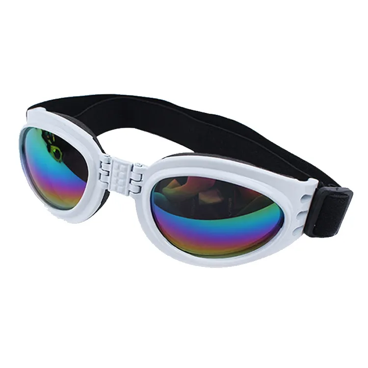 Pet Sunglasses View 1