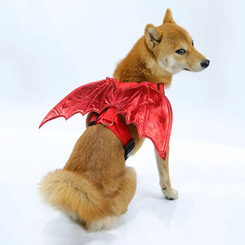 Pet Halloween Costume 1