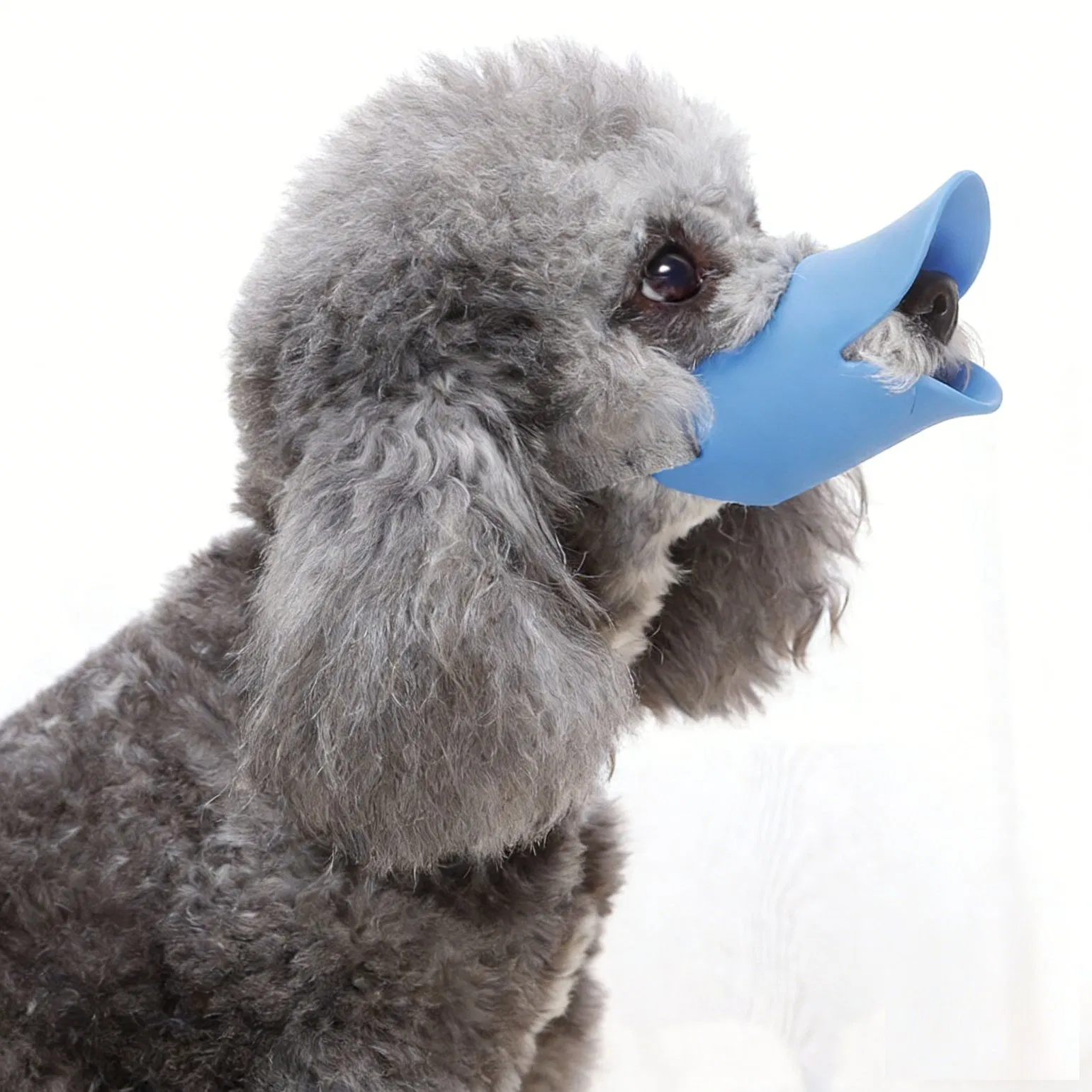 Funny Duck Design Dog Muzzle Anti Bark Training Safety Mask Pet Product