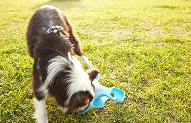 Pet Product Parameters