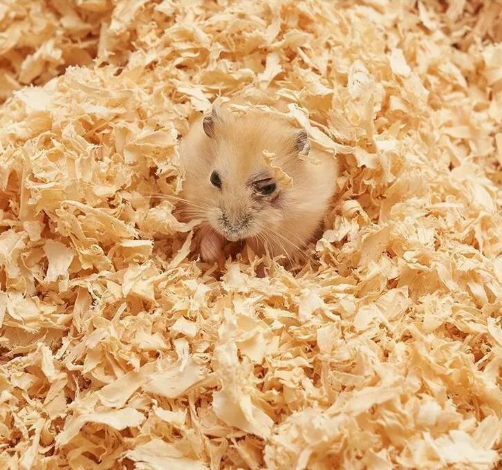 Premium Pet Bedding 1