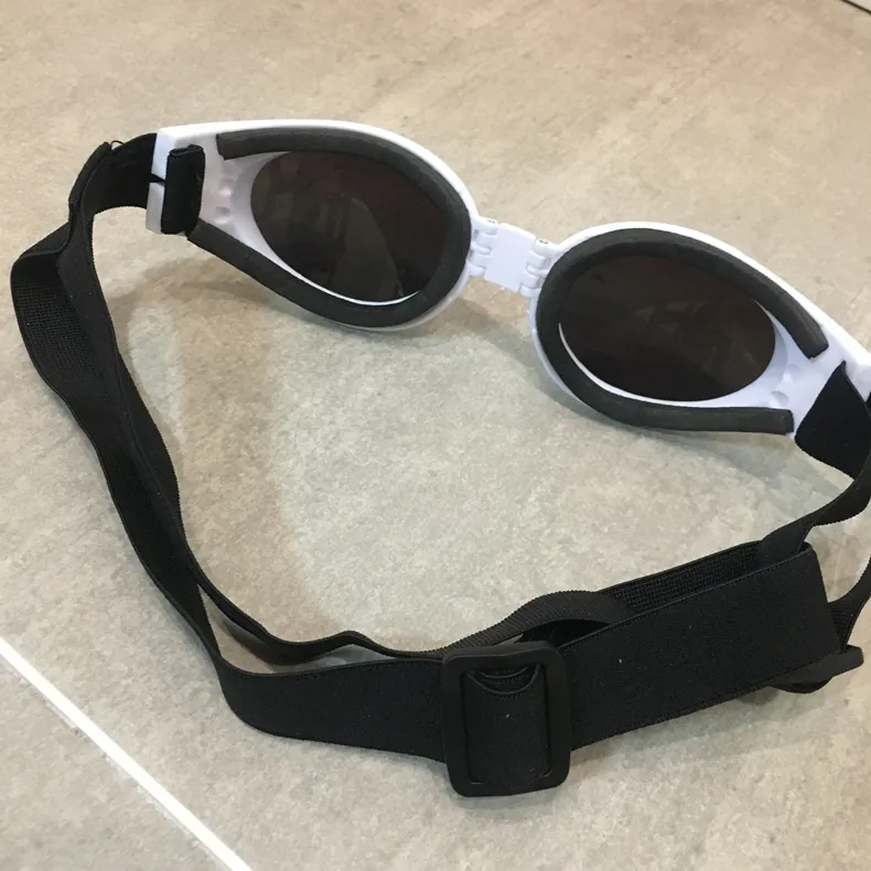 Pet Sunglasses View 3