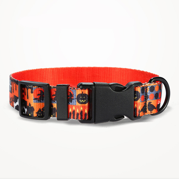 Factory OEM Halloween Nylon Webbing Pet Collar Leash Dog Lead Set