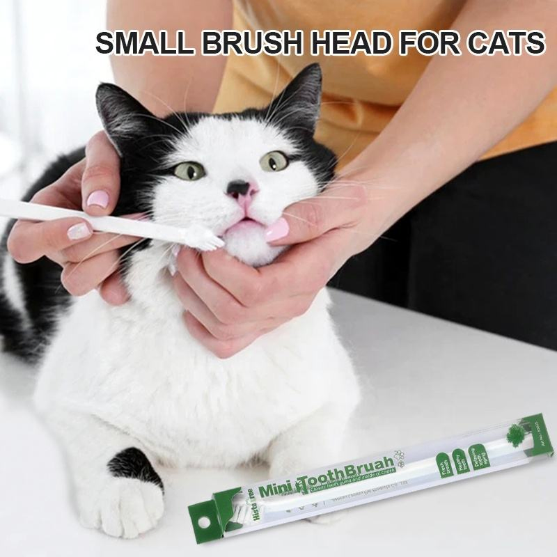 PVC Box Packaging Small Pet Tooth Brush Cat Pet Dog Toothbrush Dental Care