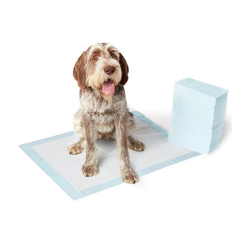 Non-Woven Fabric Pet Products for Easy Cleanup and Training