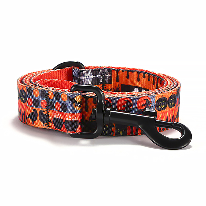 Factory OEM Halloween Nylon Webbing Pet Collar Leash Dog Lead Set