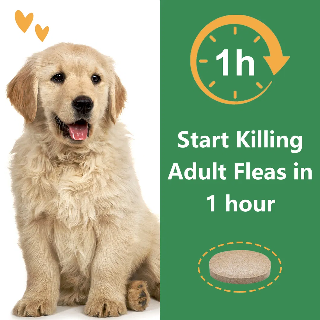 Oral Flea Treatment 5