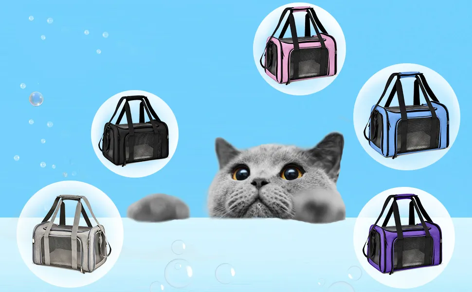 Pet Carrier View 1