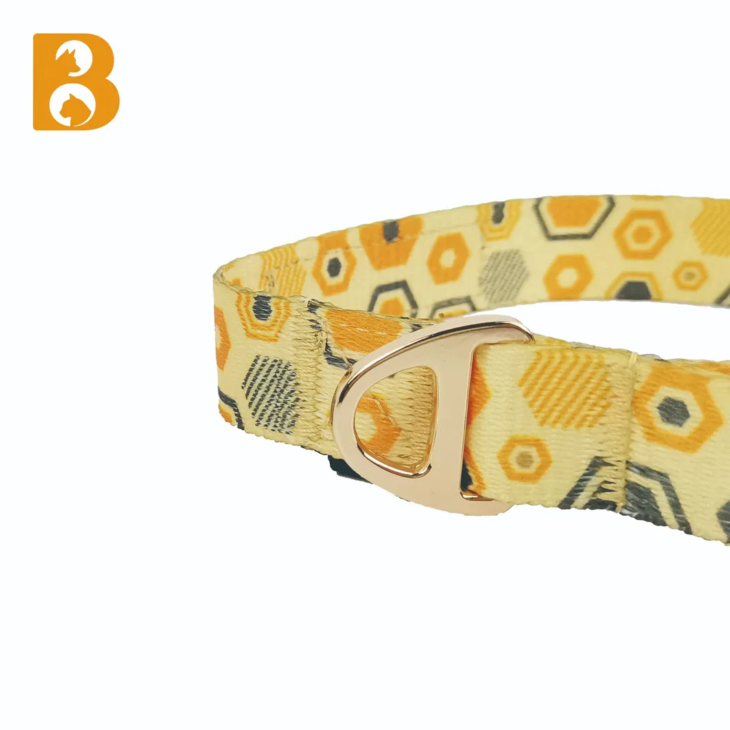 Zinc Alloy D-ring Detail