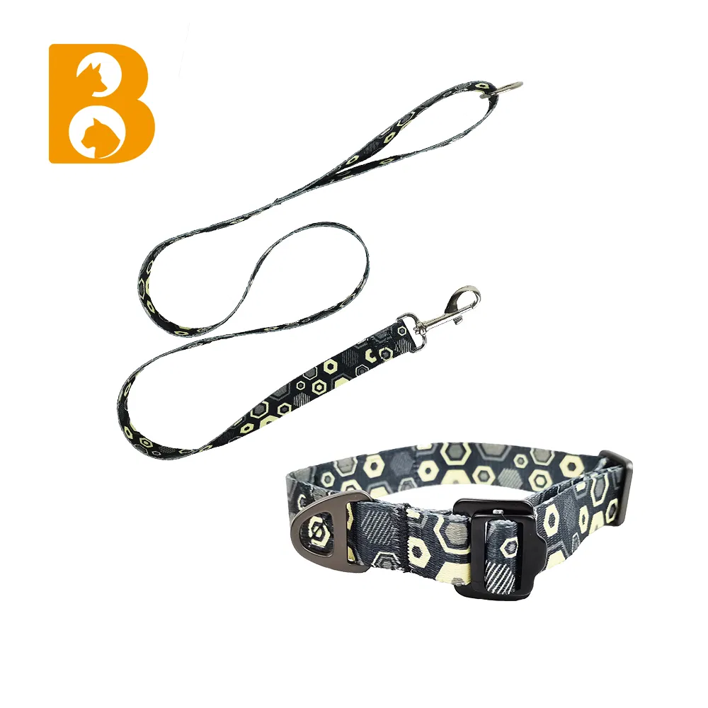 Bettering Pet Walking Training Adjustable Dog Leash with Matching Collar