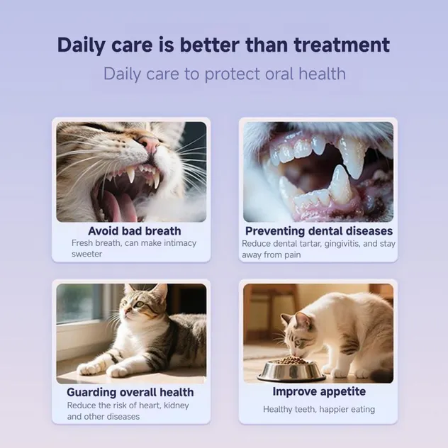 Pet Dental Cleaning Mousse 2