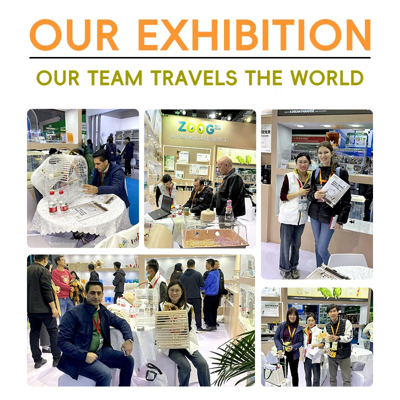 Eco-Friendly Special Chicken Housing Solutions for Poultry Farms